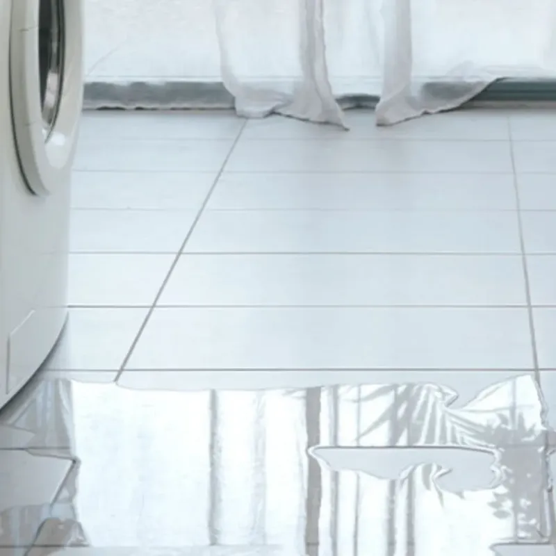 Appliance Leak Cleanup in Bartow County, GA