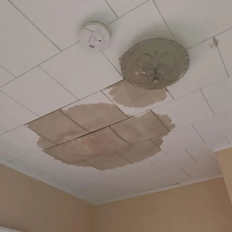Ceiling Water Damage Repair in Bartow County, GA