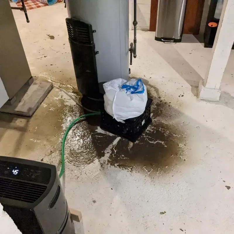 Sewage Backup Cleanup Service in Bartow County, GA